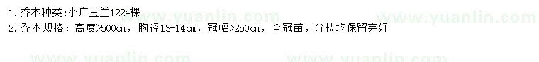 求購高5米廣玉蘭