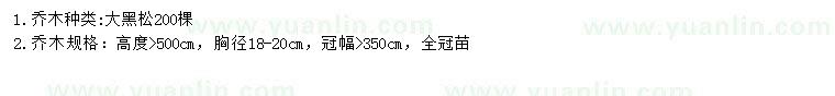 求購高5米黑松