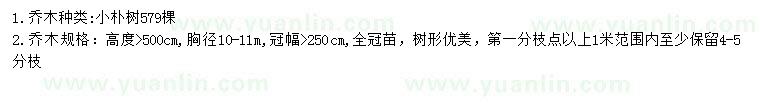 求購(gòu)高5米樸樹