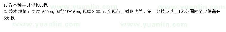 求購(gòu)高6米樸樹