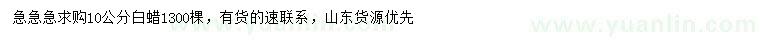 求購10公分白蠟