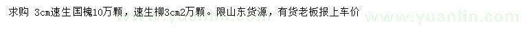 求購(gòu)3公分速生國(guó)槐