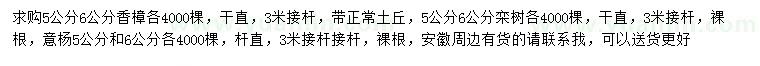 求購(gòu)香樟、欒樹、意楊