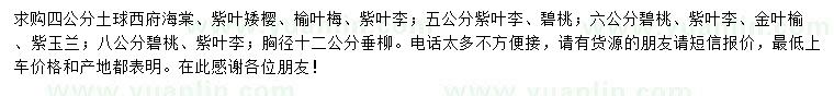 求購西府海棠、紫葉矮櫻、榆葉梅等