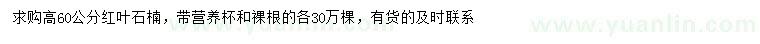 求購高60公分紅葉石楠