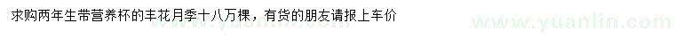 求購兩年生豐花月季