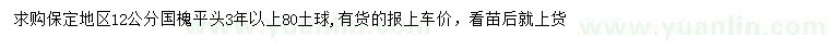 求購(gòu)12公分國(guó)槐