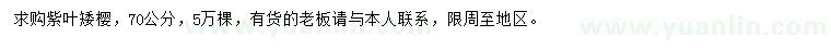 求購(gòu)70公分紫葉矮櫻
