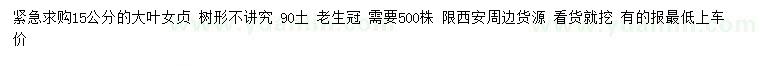 求購15公分大葉女貞
