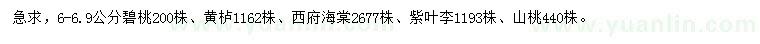 求購碧桃、黃櫨、紫葉李等