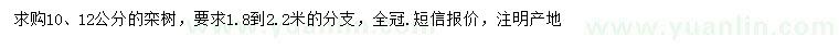 求購10、12公分欒樹