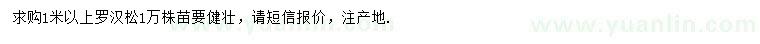 求購(gòu)1米以上羅漢松