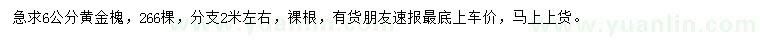 求購(gòu)6公分黃金槐