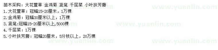 求購大花萱草、金雞菊、鳶尾等