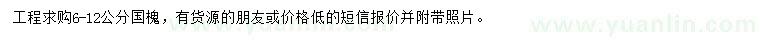 求購10-12公分國槐