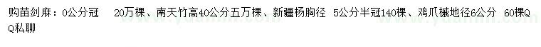 求購劍麻、南天竹、新疆楊等