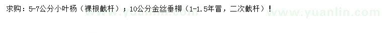 求購5-7公分小葉楊小葉楊、10公分金絲垂柳