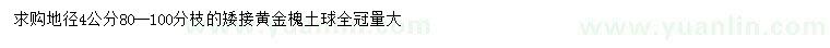 求購地徑4公分矮接黃金槐