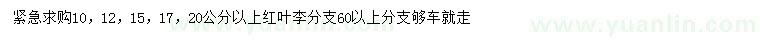 求購10、12、15、17、20公分以上紅葉李