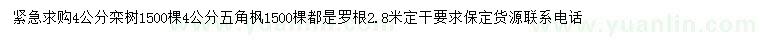 求購4公分欒樹、五角楓