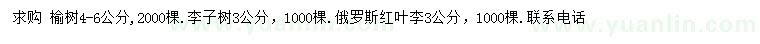 求購榆樹、李子樹、紅葉李