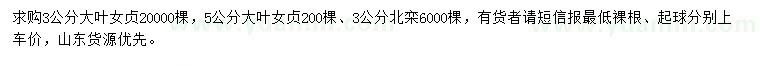 求購(gòu)3、公分大葉女貞、3公分北欒
