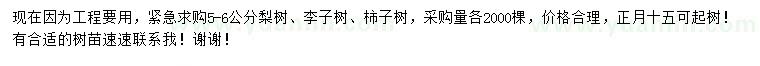 求購(gòu)梨樹(shù)、李子樹(shù)、柿樹(shù)
