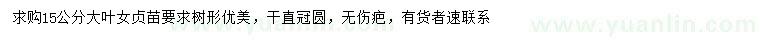 求購15公分大葉女貞苗