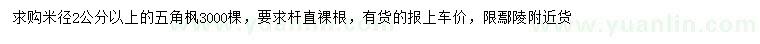 求購米徑2公分以上五角楓