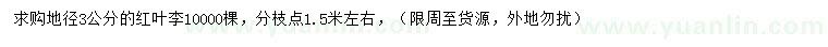 求購(gòu)地徑3公分紅葉李