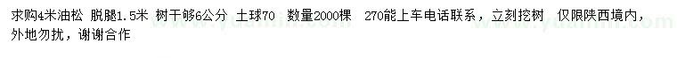 求購4米油松