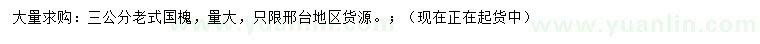 求購3公分老式國槐