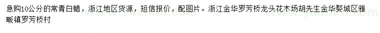 求購10公分常青白蠟