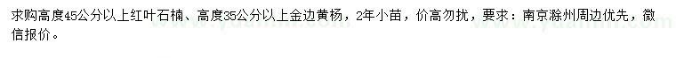 求購高45公分以上紅葉石楠、35公分以上金邊黃楊