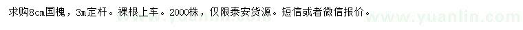 求購8公分國槐