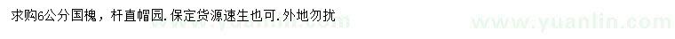 求購6公分國槐
