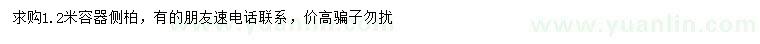 求購(gòu)1.2米側(cè)柏