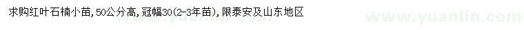 求購高50公分紅葉石楠