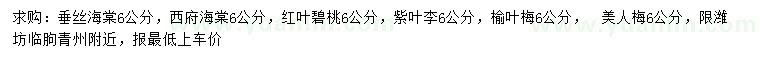 求購垂絲海棠、西府海棠、紅葉碧桃等