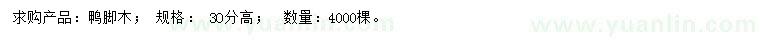 求購高30公分鴨腳木