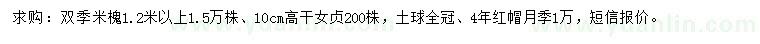 求購(gòu)雙季米槐、高桿女貞、紅帽月季