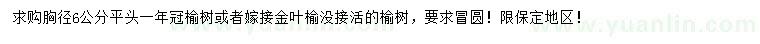 求購6公分榆樹