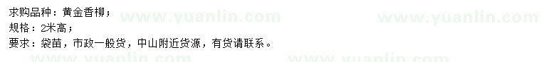 求購高2米黃金香柳