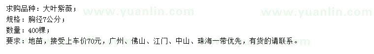 求購胸徑7公分大葉紫薇
