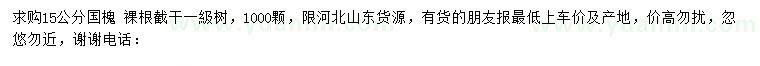 求購15公分國槐
