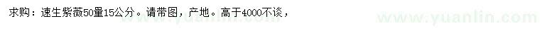 求購50量15公分速生紫薇