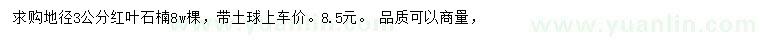 求購地徑3公分紅葉石楠
