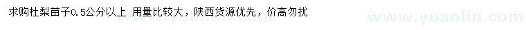 求購0.5公分以上杜梨