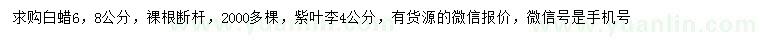 求購6、8公分白蠟、4公分紫葉李