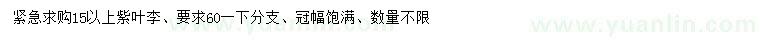 求購(gòu)15公分紫葉李